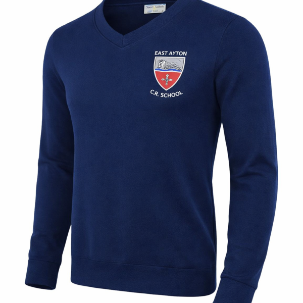 V' Neck Sweatshirt