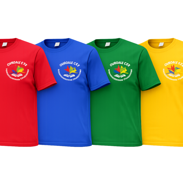 PE T-Shirt (House Colours)