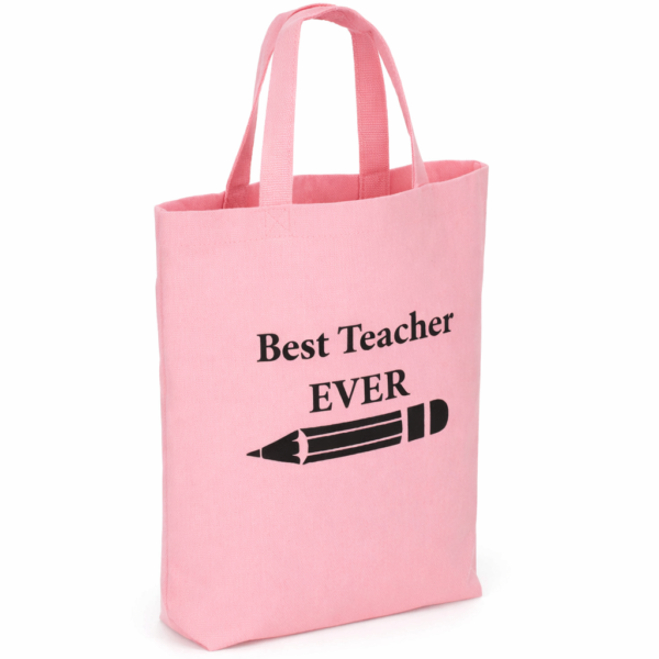 Teacher bag