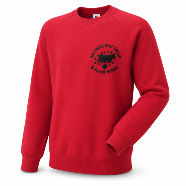 Jerzees Kids Raglan Sweatshirt